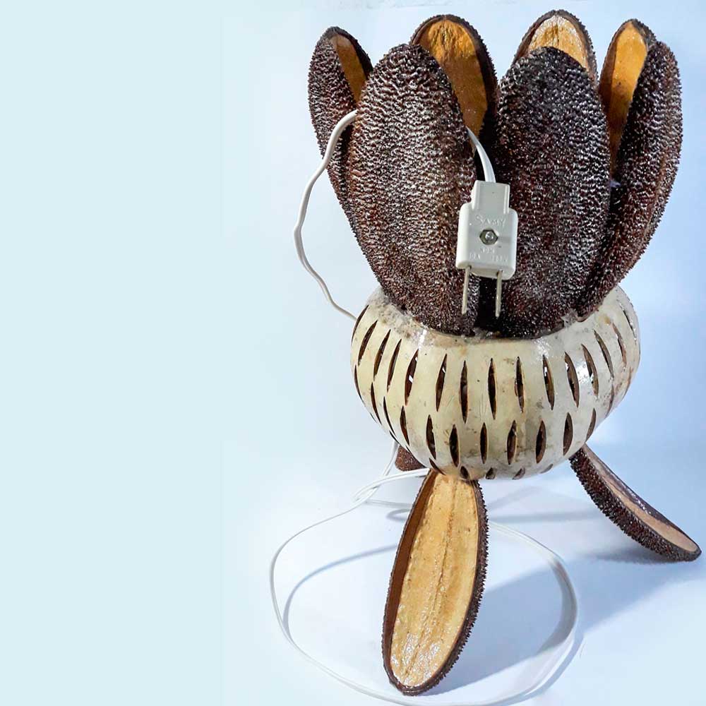 lampara artesanal para buro hecha con jicaros y semillas del estado de Veracruz.